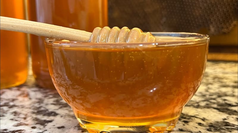 تصویر 3 از عسل کوهی وحشی خالص برداشت شده از طبیعت بکر